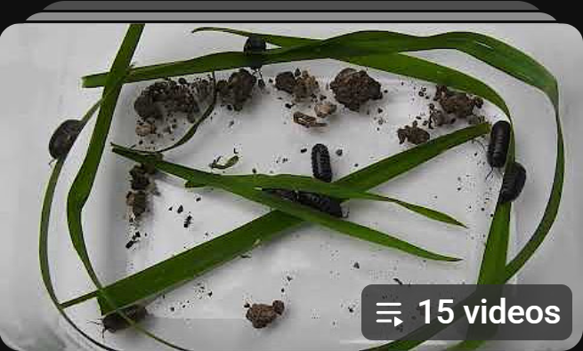 Screenshot 2026-05-12 130710